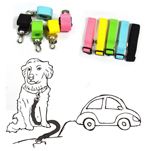 Car seatbelt for your dog - Cijbee
