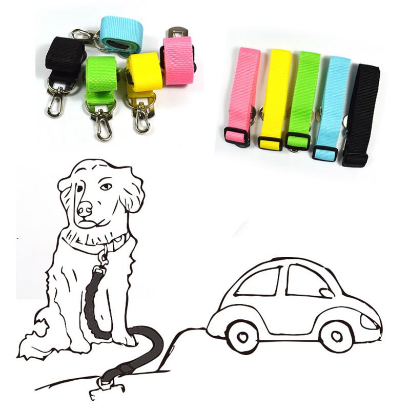 Car seatbelt for your dog - Cijbee