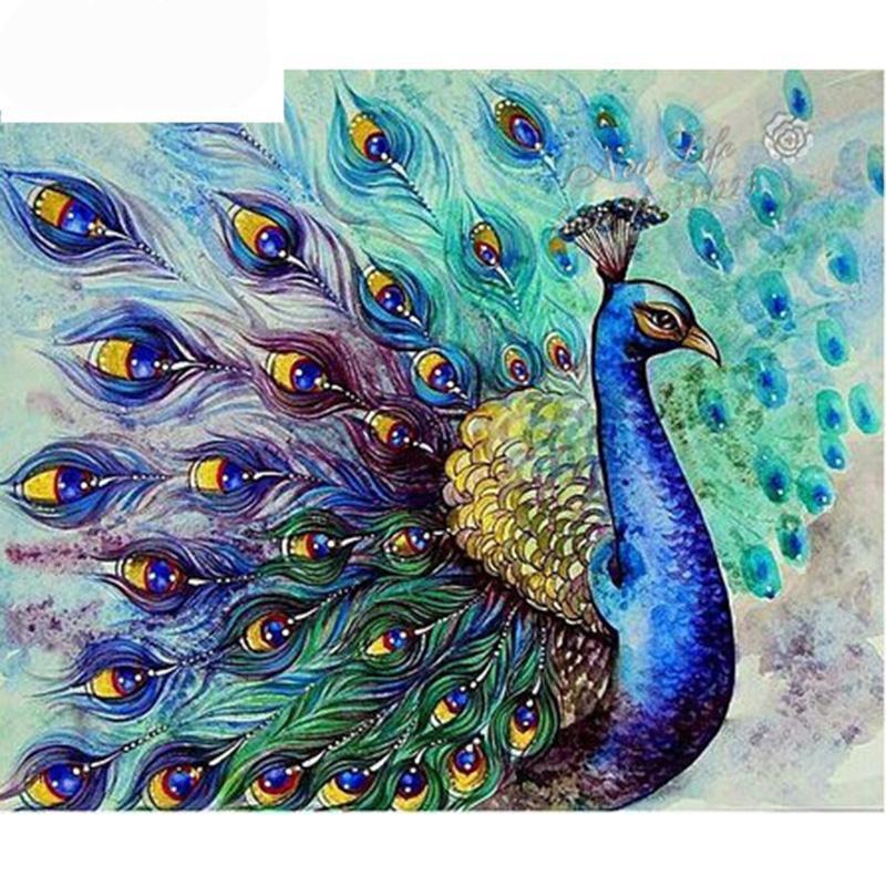 Azure Peacock - Cijbee