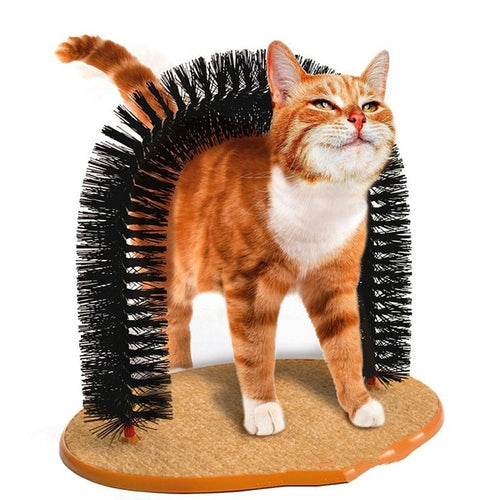 Arch Groomer For Cats - Cijbee