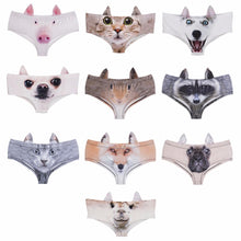 Load image into Gallery viewer, Animal 3D ears panties - Cijbee